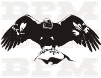 /album/vtaky/vtaky-1-jpg/